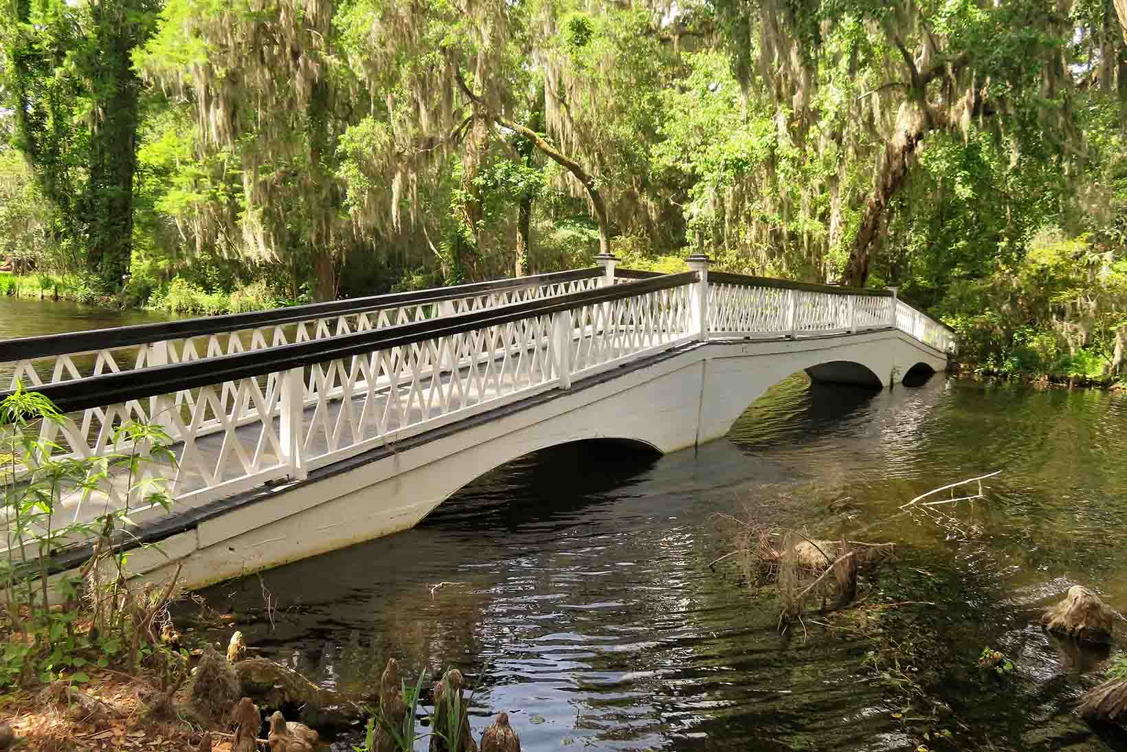 Magnolia Plantation Bridge Event Venue near Charleston